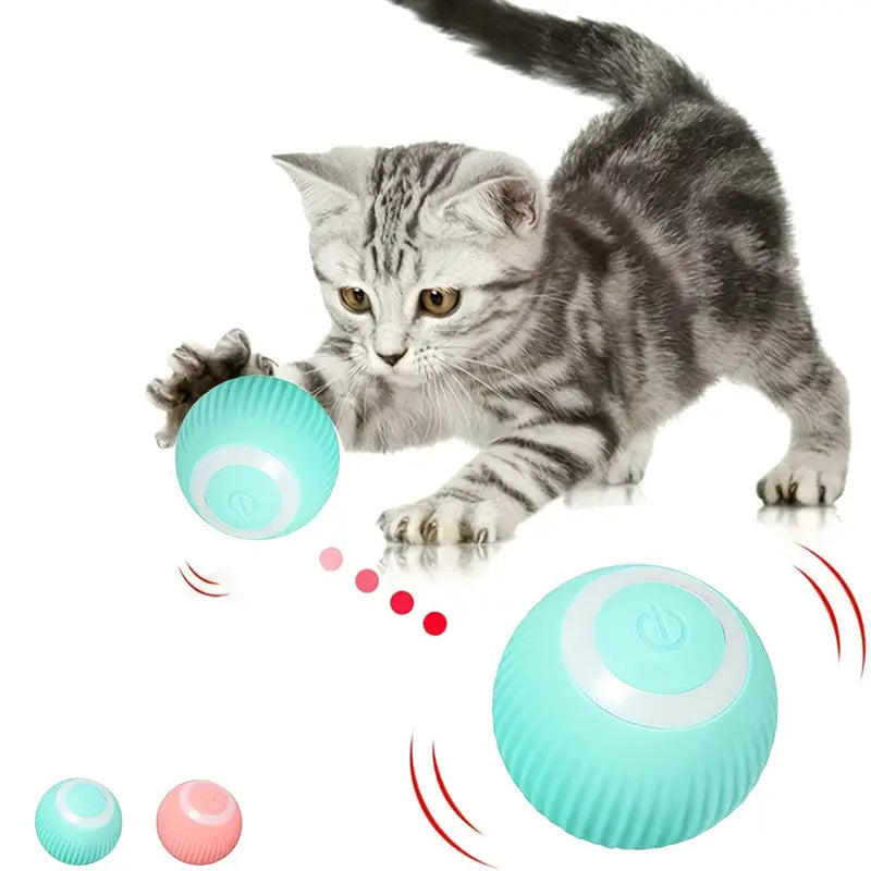 Roll-N-Play Rechargeable Cat Ball