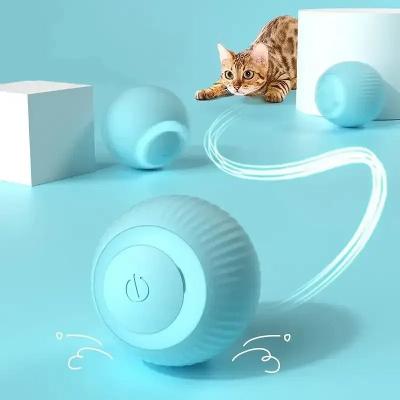 Roll-N-Play Rechargeable Cat Ball