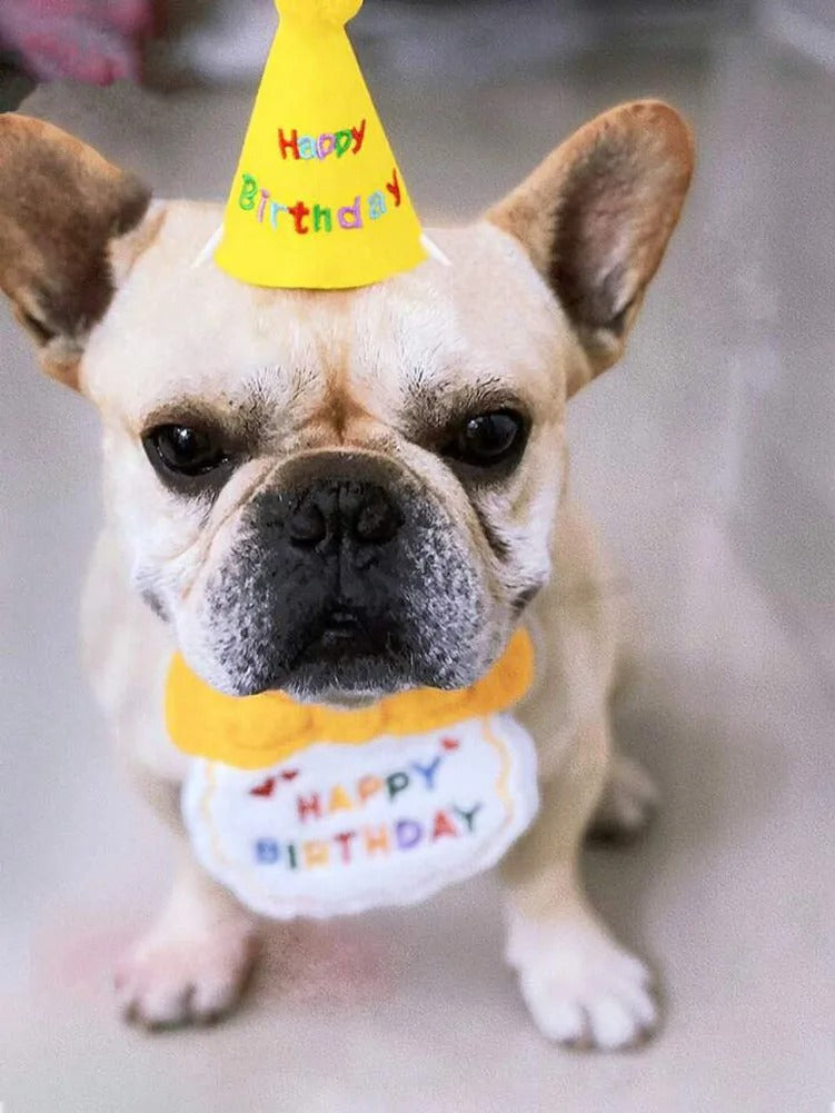 Pet Dog Cat Birthday Bib and Party Hat