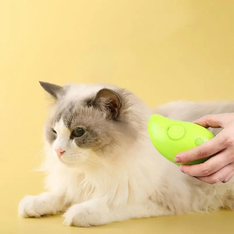 Rechargeable Steam Pet Brush